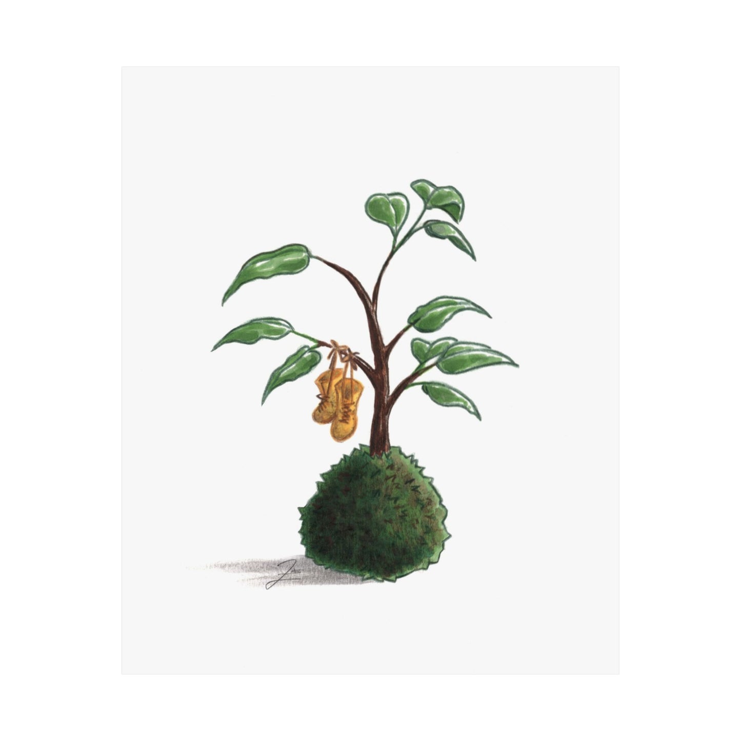 Kokedama K: is wearing boots