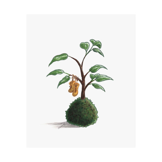 Kokedama K: is wearing boots