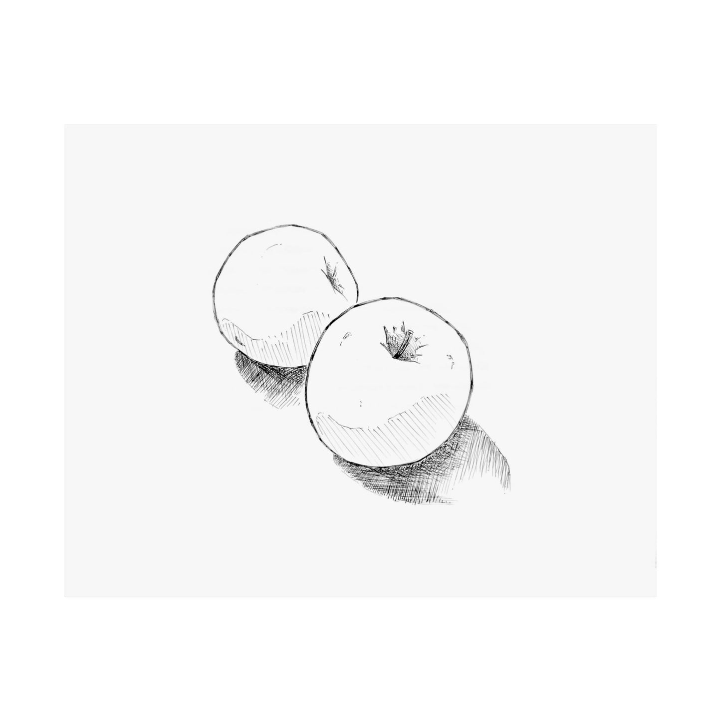 Black & White Apple Sketch Matte Horizontal Poster — Ink Apples with Shadows