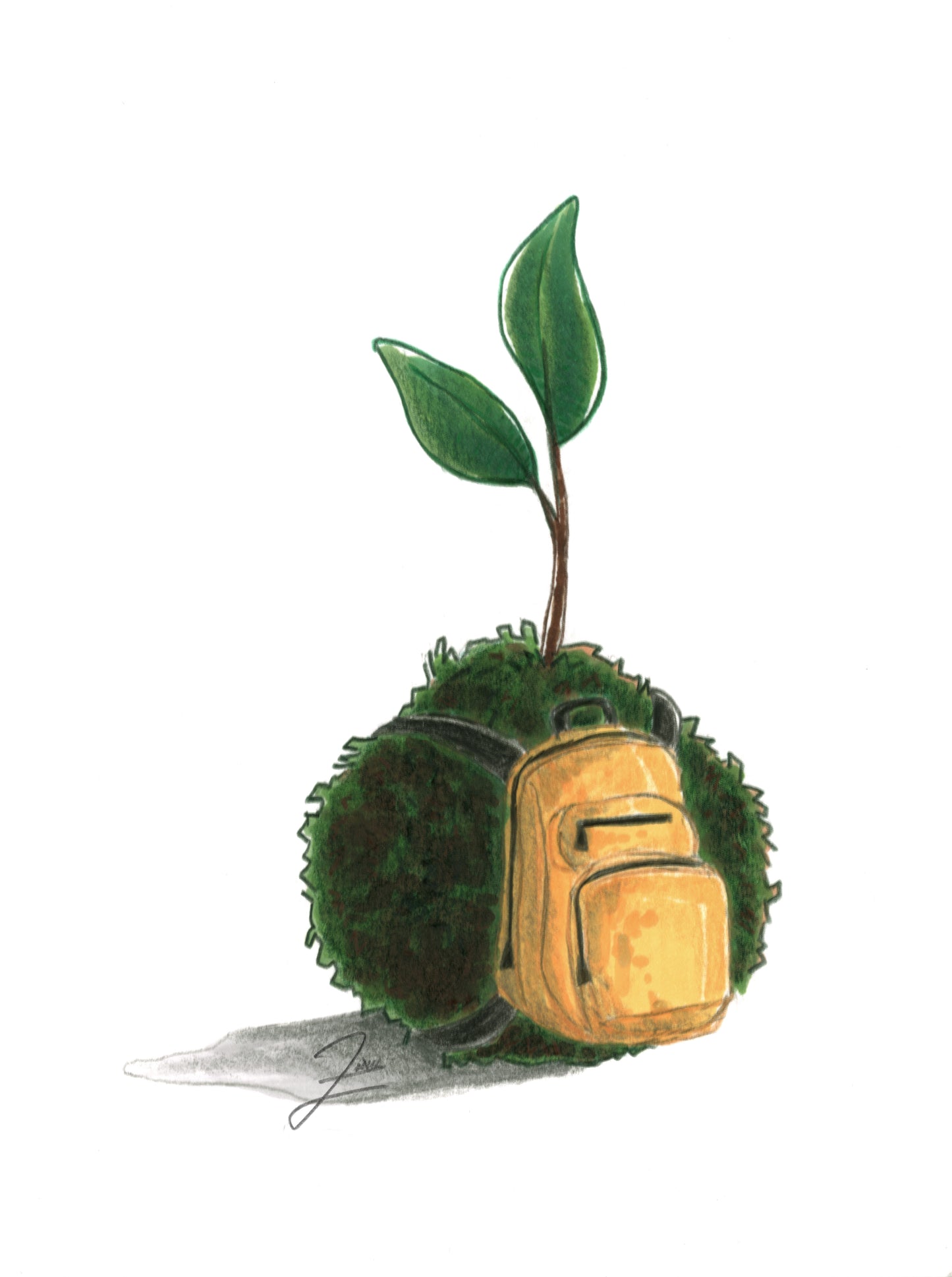 Kokedama K: is rucking