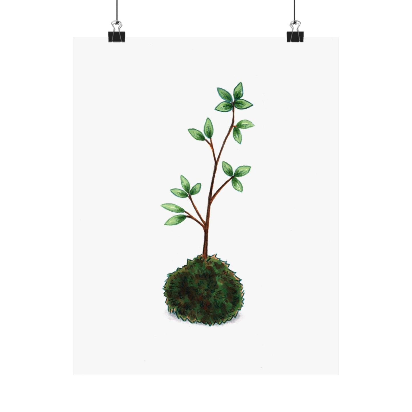 Kokedama: is young