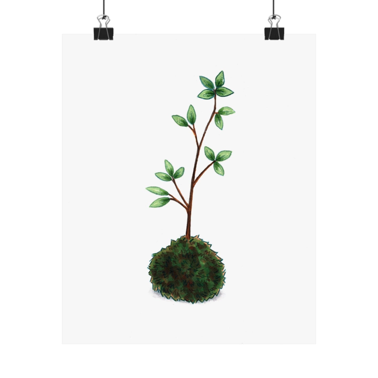 Kokedama: is young